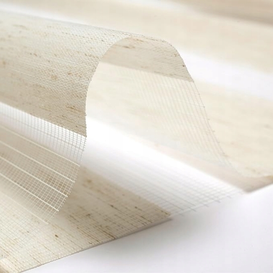 Blindecor Lira Roleta dzień i noc 100 x 180