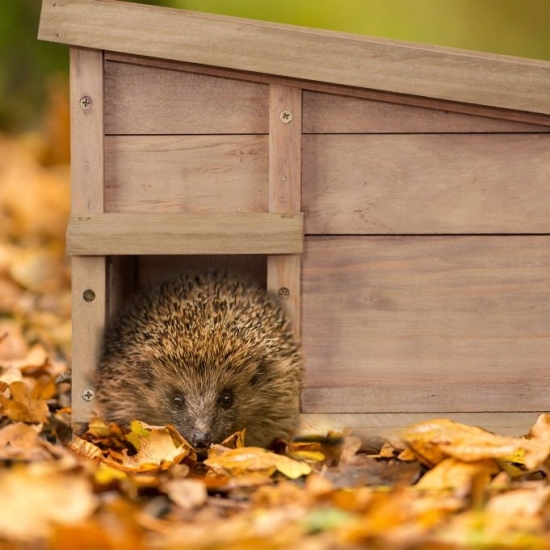 Drewniany Domek dla jeża legowisko
