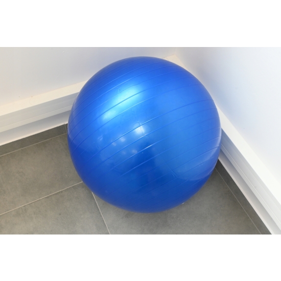 EDIFIT PIŁKA DO ĆWICZEŃ GIMNASTYCZNA FITNESS 65 CM + POMPKA